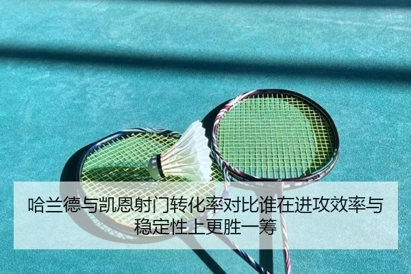 哈兰德与凯恩射门转化率对比谁在进攻效率与稳定性上更胜一筹
