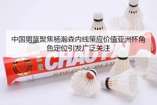 中国男篮聚焦杨瀚森内线策应价值亚洲杯角色定位引发广泛关注